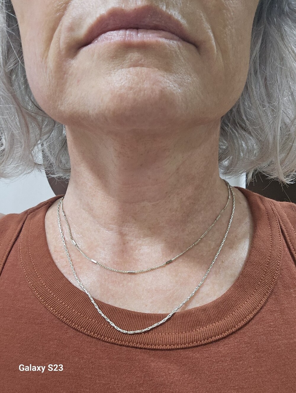 Delicate Double-Layer Silver Jenny Bird Necklace.